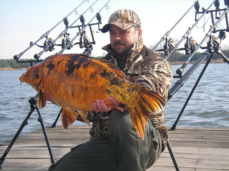 Remember - Haromfa 2007